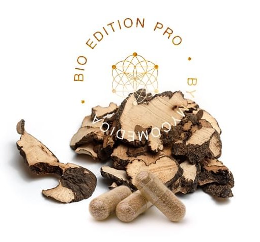 Polyporus PRO